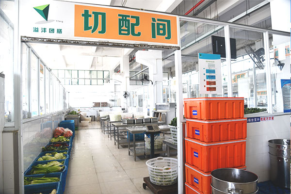 Web Tutorial Plus - Demo